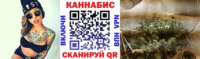Где можно купить наркотики Дагестанские Огни СК МЕТАМФЕТАМИН МЕФ Гашиш COCAIN