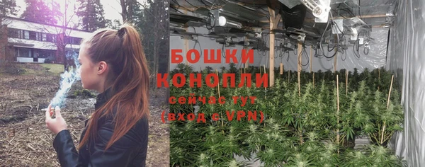 ГАЛЛЮЦИНОГЕННЫЕ ГРИБЫ Беломорск
