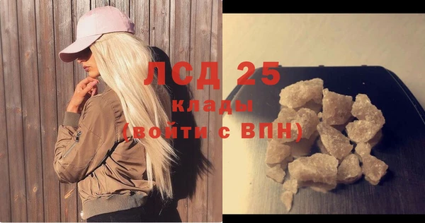 ГАЛЛЮЦИНОГЕННЫЕ ГРИБЫ Беломорск