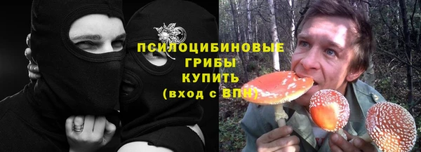молекула духа Белокуриха