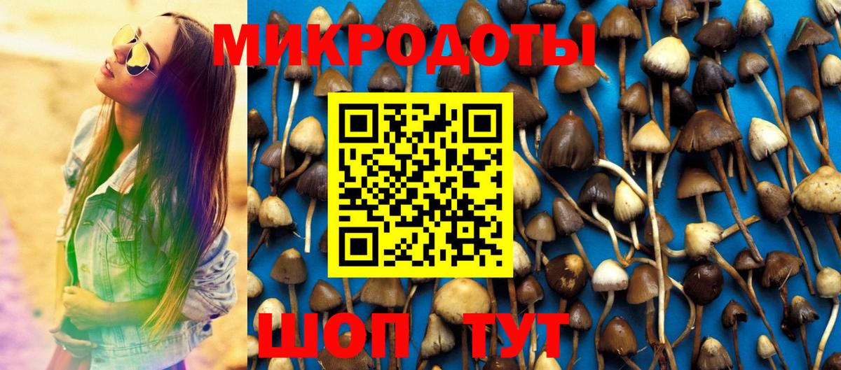 Галлюциногенные грибы ЛСД  Псилоцибиновые грибы Psilocybine cubensis  Дагестанские Огни  Вход с VPN 
